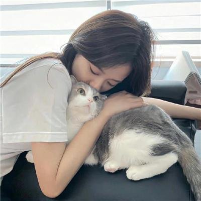 咒术回战第二季